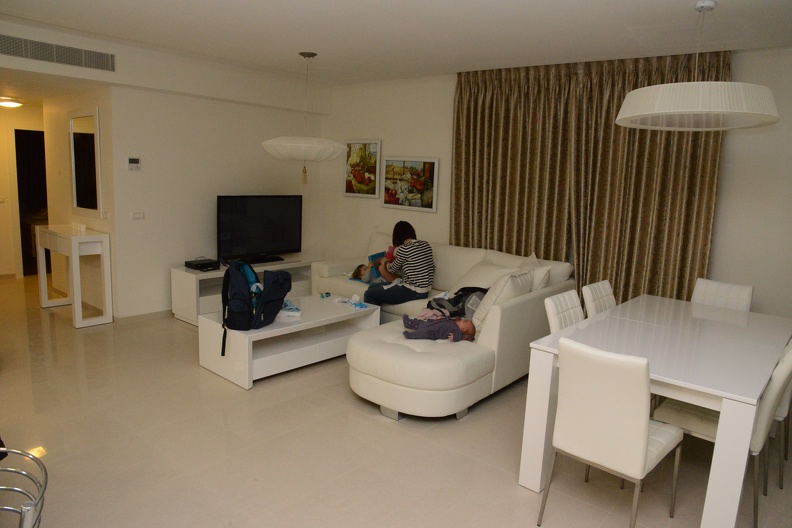 Living Room1